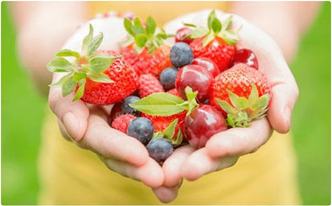 fructe